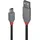 Lindy USB-A auf Mini-USB 0,2 m Schwarz