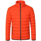 Blue Wave Maximilian orange 6XL