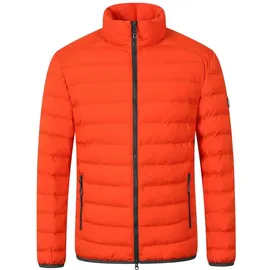 Blue Wave Maximilian orange 6XL