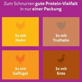 Whiskas Geflügel Auswahl in Gelee 12 x 85 g