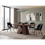 WFL GROUP Vanta 200 x 90 x 76 cm ausziehbar braun