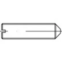TOOLCRAFT Madenschraube M10 12 mm Stahl 100 Stück