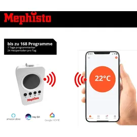 Mephisto Infrarot Heizung Wand- Standheizung energiesparend Elektroheizung inkl. Thermostat WIFI APP Steuerung 600W, inkl. Wandmontage-Set