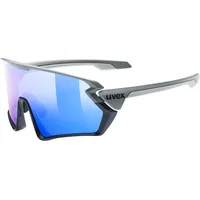 Uvex Sportstyle 231 Mirror (Cat. 2) Cycling Glasses