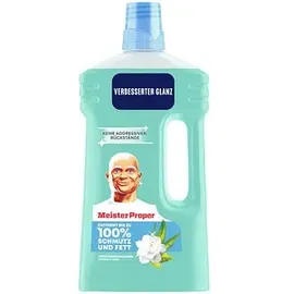 Meister Proper Allzweckreiniger Frühlingserwachen 1 l
