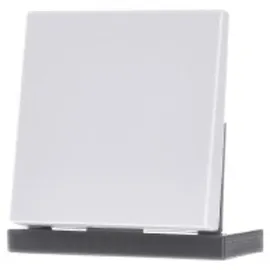 Jung Steuertaste Standard LS 1700 WW