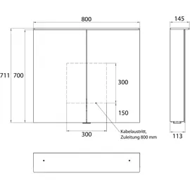 EMCO flat 2 Design LED-Lichtspiegelschrank mit Lichtsegel, 2 Türen, 800x711x113mm, 979706403