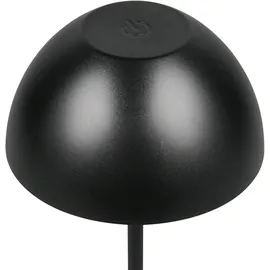 Trio Ortiz Schwarz 2 W