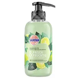 SAGROTAN® FRISCH&FRUCHTIG Flüssigseife 300,0 ml