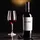 Viña Cobos Felino Malbec 2024 0,75 l