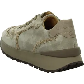 Gabor Sneaker low in beige / 6.5 UK