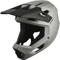 Alpina Pikes Mips Grau Modell 2025