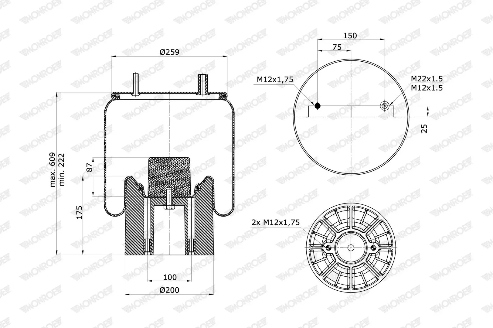 MONROE asp3019 für DAIMLER