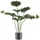 Creativ green künstliche Pflanze Strahlenpalme 100cm
