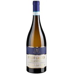 Pinot Grigio Castel del Lago - 2023 - Riolite Vini - Italienischer Weißwein