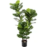 aplanta Künstliche Geigenfeige - Lena | cm