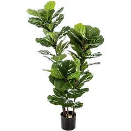 aplanta Künstliche Geigenfeige - Lena | cm