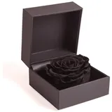 ROSEMARIE SCHULZ Heidelberg Rosenbox 1 Infinity Rose schwarz konserviert - 11 x 11 cm Ringdose mit Blume Schlafsack Füllmaterial, Kissentyp (Schwarz)