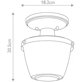 Elstead Lighting Dublin 1 E27 Lackiertes Naturmessing IP44