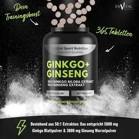 Exvital Ginkgo + Ginseng Tabletten 365 St.