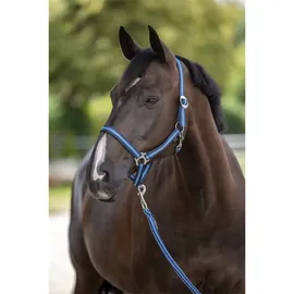 Kerbl Halfter Hippo Größe 1 (Pony) Marine/Hellblau