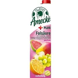 Amecke + Folsäure Fruchtsaftkonzentrat 6x 1,0 l