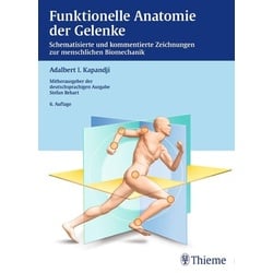 Funktionelle Anatomie