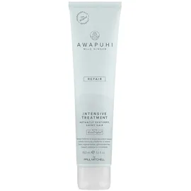 Paul Mitchell Awapuhi Wild Ginger Intensive Treatment Maske 150 ml