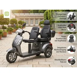 ECONELO E-Seniorenmobil Billy 2.0 3-Rad 1000 Watt Komfort-Sitz Grau
