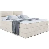 altdecor Boxi3 King 160 x 200 cm H3/H4 Creme