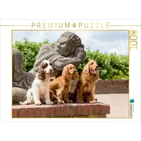 Calvendo drei Cocker sitzen vor Einer Steinfigur Puzzle