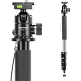 walimex pro 1983 Carbon Einbeinstativ + Onyx 8 Kugelkopf Stativkopf Reisestativ (Carbon, Kunststoff, Metall), Stativ, Schwarz