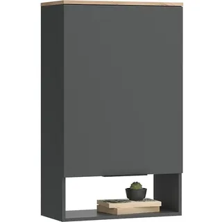 Vicco Hängeschrank Wido Anthrazit Eiche 60 x 100 cm mit Tür