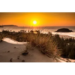 Fototapete PAPERMOON "Strand Sonnenuntergang", bunt, B:4,50m L:2,80m, Vlies, Tapeten