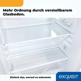Exquisit KS117-3-040D E Kühlschrank (81 l, 850 mm hoch, Weiß)
