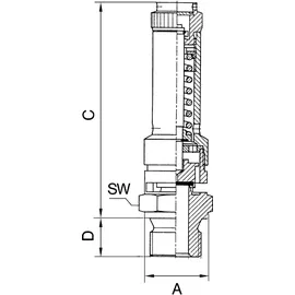 Riegler Sicherheitsventil DN 10 Messing Ansprechdruck 28 bar