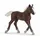 Schleich Farm World Schwarzwälder Fohlen 13899