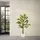 ML-Design Kunstpflanze Orangenbaum 160 cm, aus Kunststoff,