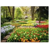 ARTland Wandbild »Tulpen Garten Frühling«, Blumenwiese, (1 St.), als Alubild, Outdoorbild, Leinwandbild, Poster, Wandaufkleber