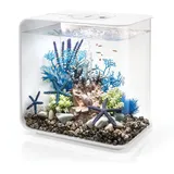 biOrb FLOW 30 LED Aquarium mit Zubehör weiß
