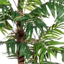 CREATIV green künstliche Pflanze Arecapalme, ca 150cm, mit Cocos und mit Moos