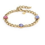 Apple of Eden Armband AJ-0072-B-21 IP Gold