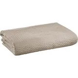 Erwin Müller Baumwolle Sommer-Decke Siena in schlamm | Gr.: 220x240 cm