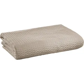 Erwin Müller Baumwolle Sommer-Decke Siena in schlamm | Gr.: 220x240 cm