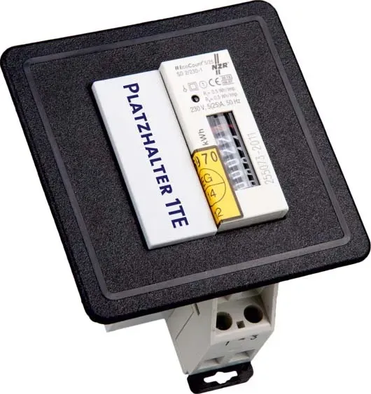 NZR Platzhalter 4556