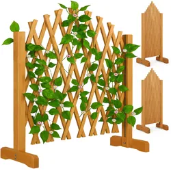 Rankhilfe 2er-Set Braun 200x107cm