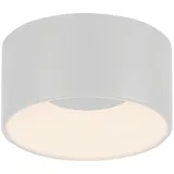 just light. LED-Deckenleuchte Tanika, - 16 cm dimmbar
