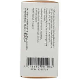 Dr. Wolff Vagisan Milchsäurebakterien mit Biotin Kapseln