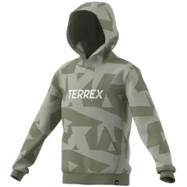 adidas Hoodie Multi Printed Logo Halo Green/Tent Green 11-12 Jahre