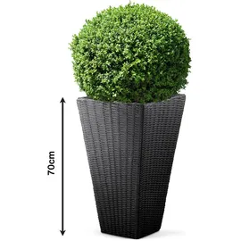 CASARIA Blumentopf Anthrazit Polyrattan-Optik 70x40x40cm